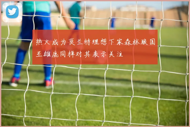 热火成为莫兰特理想下家森林狼国王雄鹿同样对其表示关注